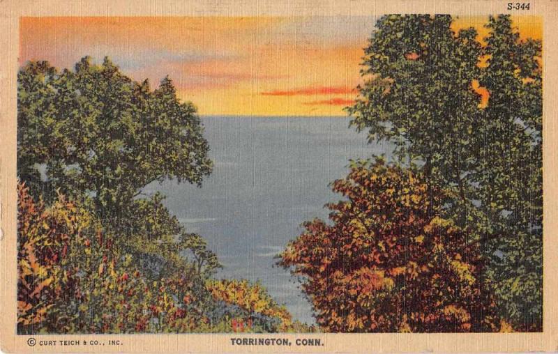 Torrington Connecticut Scenic View Linen Vintage Postcard J50686