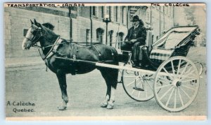 Caleche QUEBEC PQ Canada Postcard