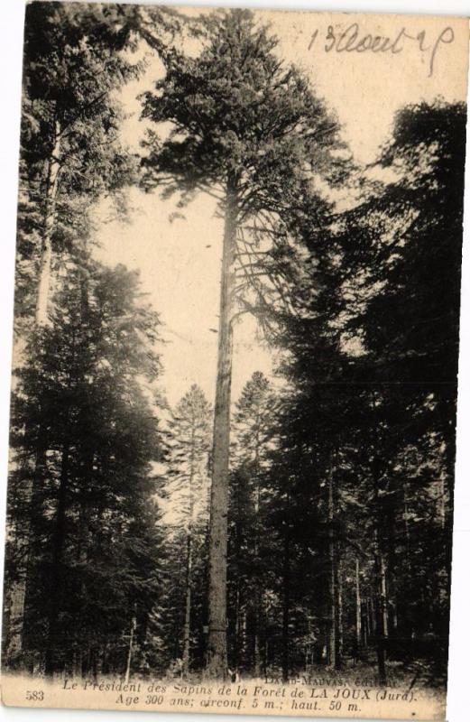 CPA Foret de la JOUX - PRESident des Sapins (211935)