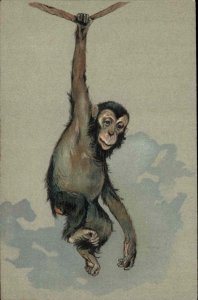 Monkey Swinging from Rope Animal Studies c1910 Vintage Postcard