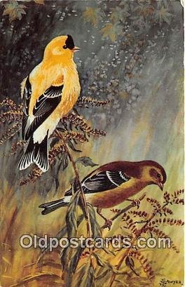 Washington State Bird, USA Willow Goldfinch Unused 