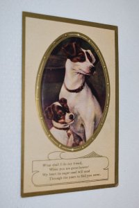 What Shall I Do My Friend... Poem Postcard Dogs Soapine Advertising