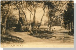 St John, New Brunswick/NB Canada Postcard, Seaside Park/1909