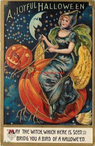 Halloween, Unknown No B37-5, Witch Flying JOL Lighted Pumpkin Broom