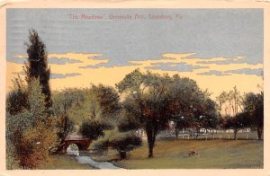 The Meadows, University Ave. Lewisburg, Pennsylvania PA Postcard