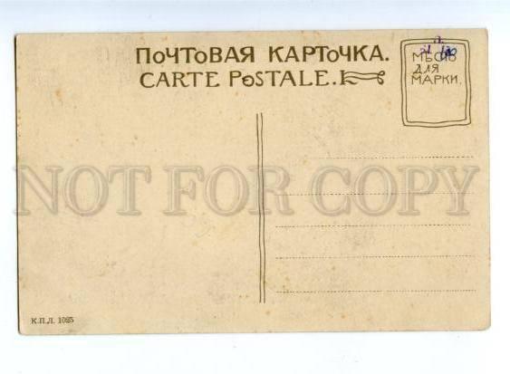 169825 Petersburg TSARSKOYE SELO Grand Palace Gate Vintage PC