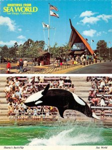 2~4X6 Postcards San Diego, CA California  SEA WORLD  Entrance~Killer Whale Shamu