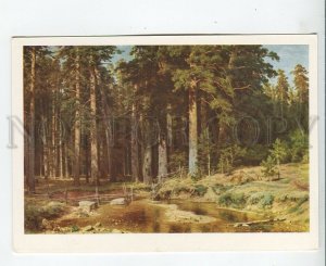 457915 USSR 1968 year Shishkin Ship Grove old postcard