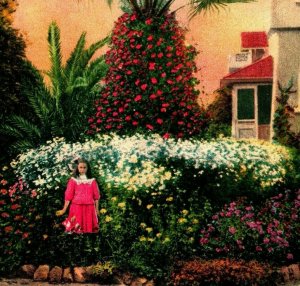 In Paul De Longpre's Garden Hollywood California CA 1910s Vtg Postcard UNP