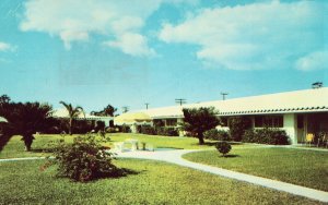 Motel Naples - Naples, Florida - Vintage Postcard