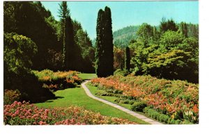 Sunken Gardens, Butchart, Victoria, British Columbia,