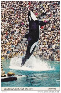 Spectacular Jump, Killer , SEA WORLD , 50-70s