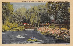 Fish in Trout Stream, Blue Hole Castalia, Ohio OH