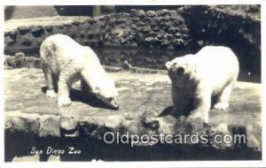 Real Photo San Diego Zoo, Cal USA Bear Unused 