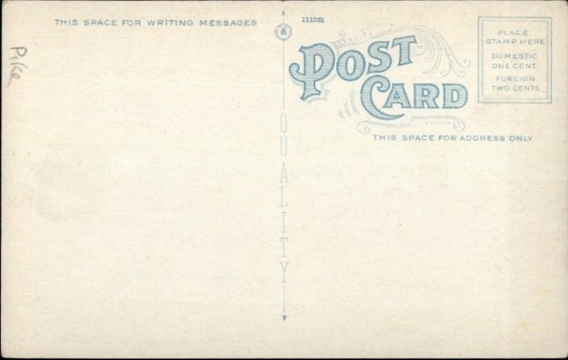 Matamoras PA Pocono Farm c1920 Postcard