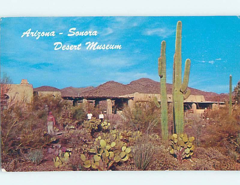 Pre-1980 MUSEUM SCENE Sonora Ghost Town - Near Ray & Superior Arizona AZ ho9675