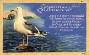 Greetings from California - MIsc  