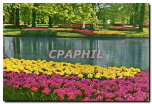 Modern Postcard Keukenhof Lisse Holland