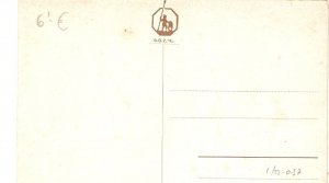 Tree Horses Old vintage German artist drawn postcard