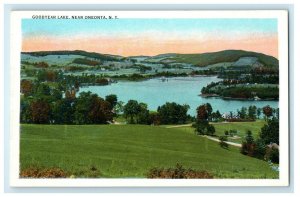 c1930s Goodyear Lake Near Oneonta New York NY Unposted Vintage Postcard 