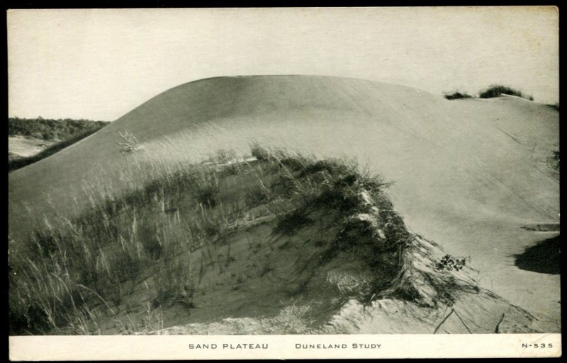 Sand Plateau. Duneland Study. C.R. Childs