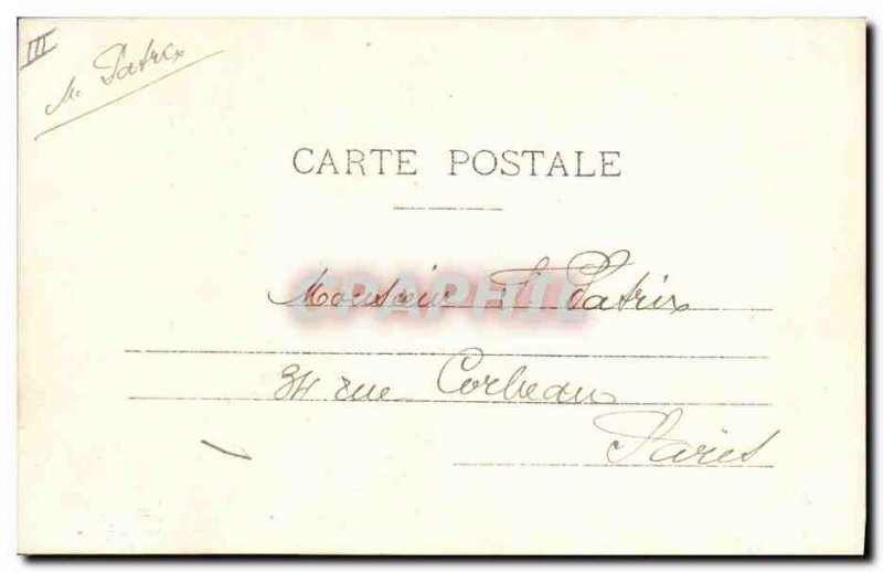 Old Postcard Fantasy Flowers Year 1905