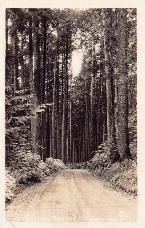 OLYMPIC PENINSULA HIGHWAY WASHINGTON~1944 ELLIS REAL PHOTO POSTCARD