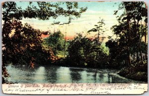 1906 Glipmse of Deal Lake Asbury Park New Jersy NJ Forest View Posted Postcard