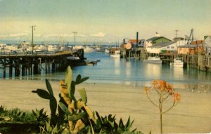 Monterey, California - A view of Fisherman's Wharf - c1950