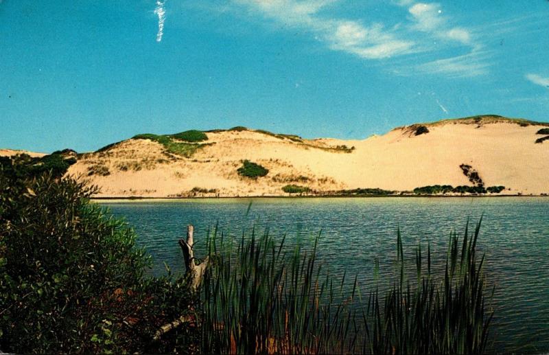 Massachusetts Cape Cod Sand Dunes