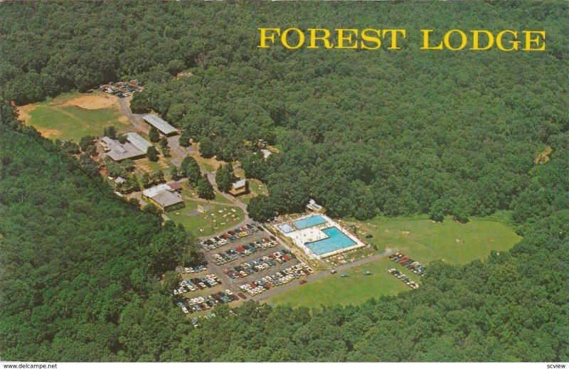 WARREN, New Jersey, 1940-60s; Forest Lodge, Aerial View