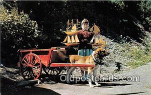 Typical Dog Cart Postal Used Unknown 