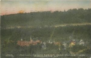 DANSVILLE NEW YORK 1913 Jackson Health Resort Valley hand colored postcard 4183