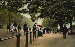 Rotten Row Side Road Horse Riding Place London UK Vintage Postcard c1910