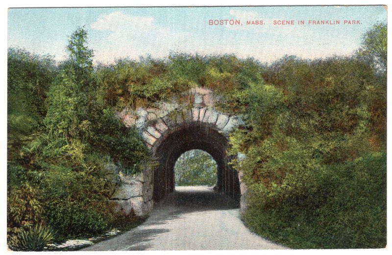 Boston, Mass, Scene In Franklin Park