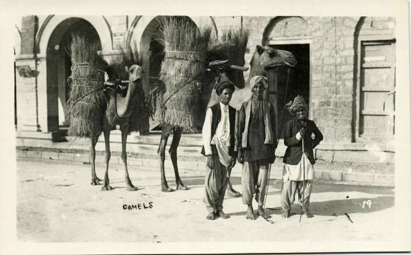 pakistan, KARACHI, Camel with Hay (1950s) RPPC Postcard