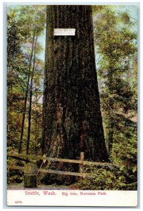 1910 Big Tree Ravenna Park Seattle Washington Vintage Antique Unposted Postcard 