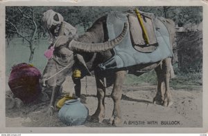 A Bhistie with Bullock , India , 00-10s