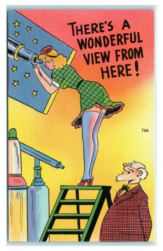 Postcard There's A Wonderful View From Here! risque humor lady man unused W14