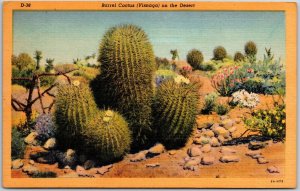 Phoenix Arizona AZ, Barrel Cactus, Visnaga, on the Desert, Vintage Postcard