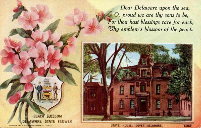 State Flower & Capitol - Delaware, Peach Blossom