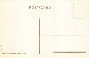 Egypt Alexandria Nabi Daniel Mosque vintage postcard