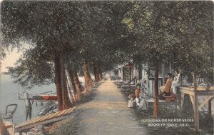 J68/ Buckeye Lake Newark Ohio Postcard c1910 North Shore Cottages 255