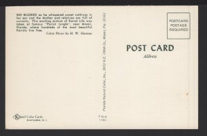 Florida MIAMI Parrot Life taken at famous Parrot Jungle ~ Chrome