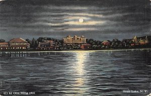 Swan Lake Swan Lake, New York NY Postcard