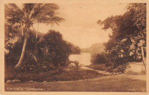 Kaivala Kadavu Fiji panoramic view towards water antique pc ZA441503 