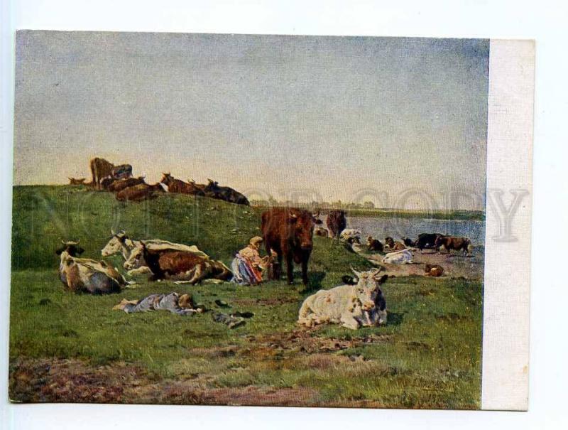 250128 Russia Makovsky herd COWS Vintage GIZ postcard