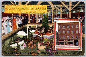 K38/ Syracuse New York Postcard c1910 Hidgkins Poultry Supply House 280