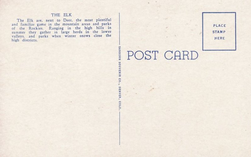 Jackson Hole WY, Wyoming - Elk Herd on Winter Feeding Grounds - Animals