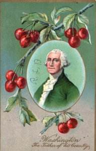 Vintage Postcard 1909 Washington The Father Of His Country Cherry Design